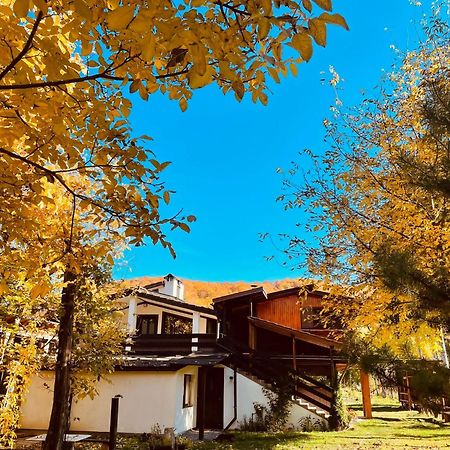 Alpinlife Hotel Dejani Exterior photo